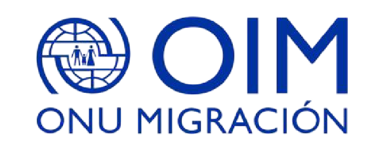 LOGOS ADVANCE WEB-08